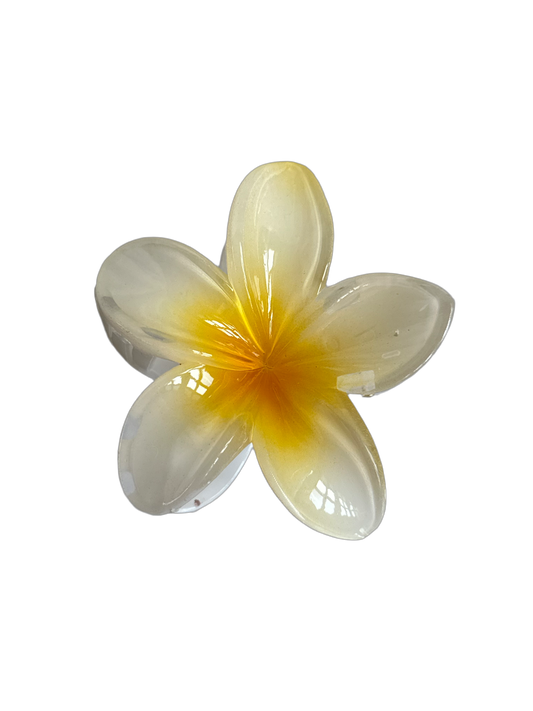 Hawaiana amarilla