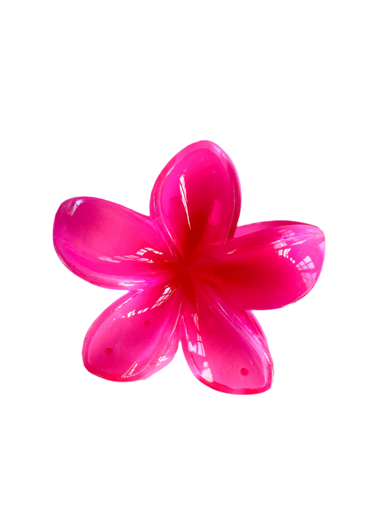 Hawaiana fucsia